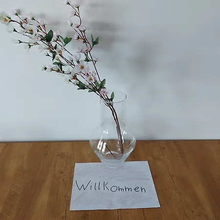 Apartment Modernes *